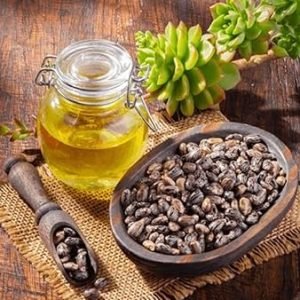 Castor Oil 100KG